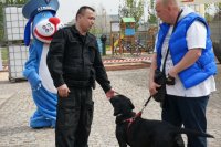 Zabrzańscy policjanci podczas festynu „Maciej Psitula Czworonogi”