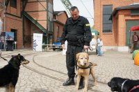 Zabrzańscy policjanci podczas festynu „Maciej Psitula Czworonogi”