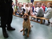 Prelekcja o bezpieczeństwie i pokaz tresury policyjnych psów