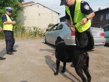 Zdjęcie kolorowe: policjant ruchu drogowego  i funkcjonariusz z Krajowej Administracji Skarbowej wraz z psem wyszkolonym do wyszukiwania narkotyków